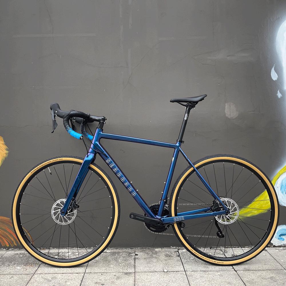 奥地利选手获得自行车越野金牌