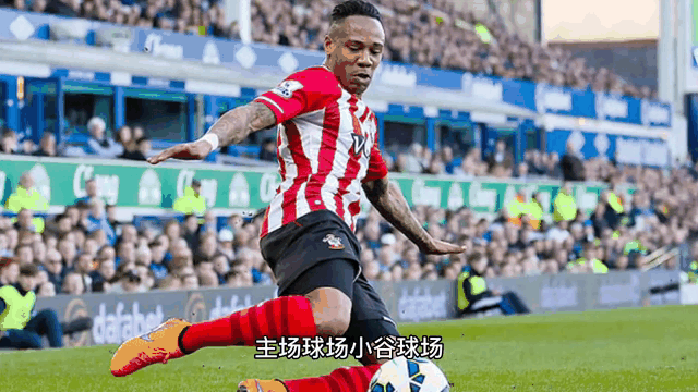 南安普顿主场大胜,保级形势日渐明朗! 南安普顿主场大胜,保级形势日渐明朗!