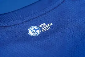 沙尔克04主场失利,积分榜垫底,急需全队齐心协力扭转局势的简单介绍 沙尔克04主场失利,积分榜垫底,急需全队齐心协力扭转局势的简单介绍